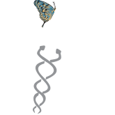 future-dental-care.pngX