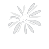 jamie-rae-hats.pngX